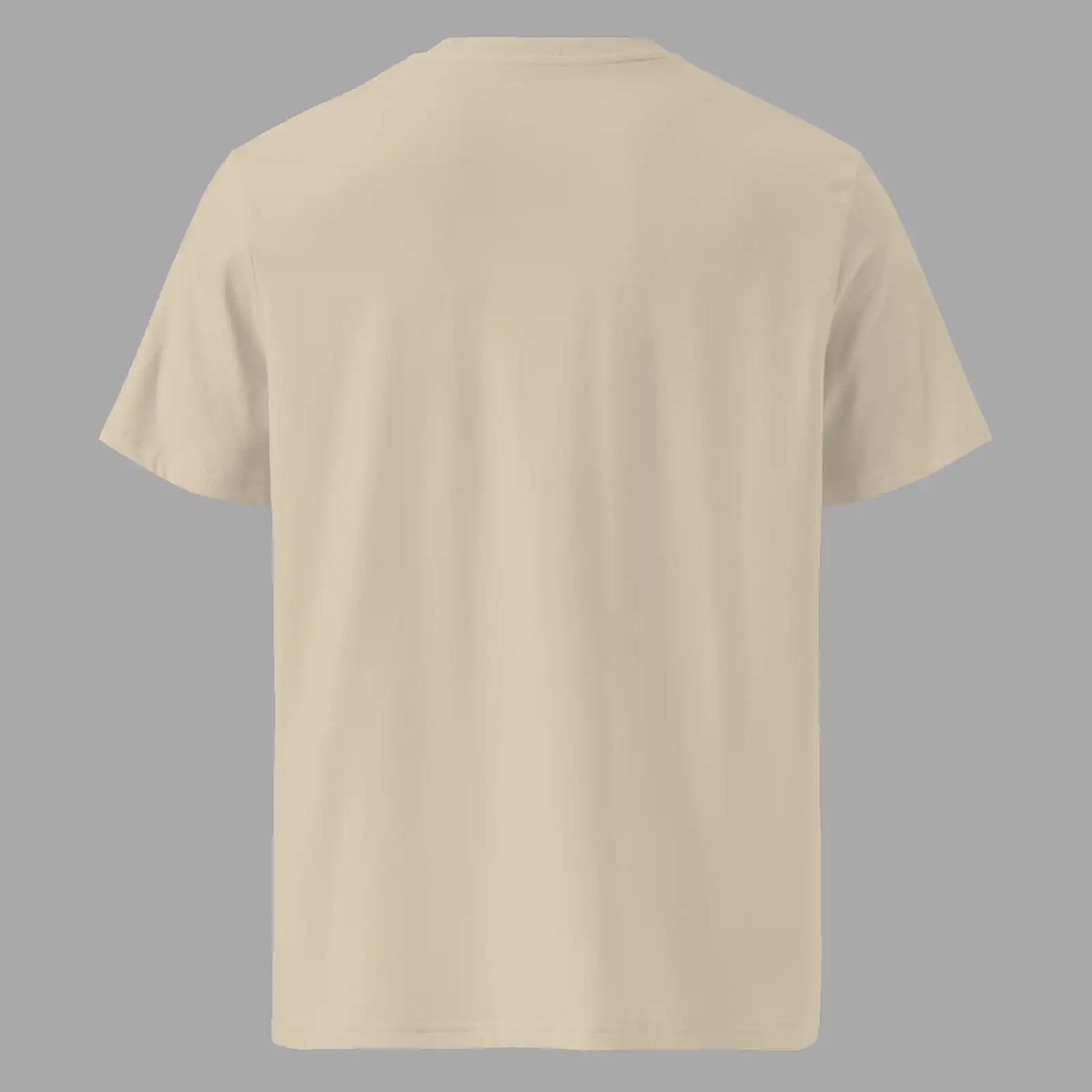Unisex organic ribbed neck t-shirt Cauldron Martian Desert Dust - Image 2